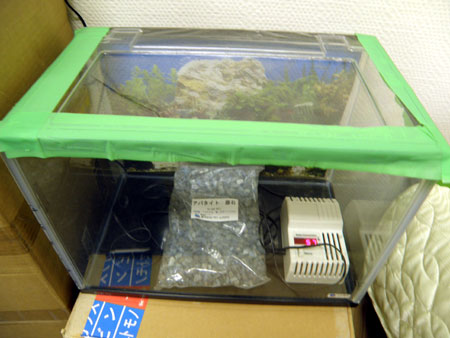 水槽にアパタイト原石1000gを投入し、養生テープで密封してラドン換変を計測。