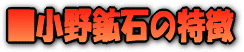ラドンセラミックの特徴