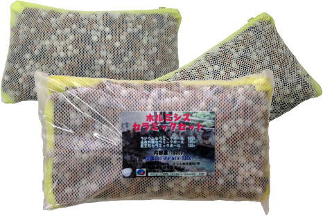 放射線ホルミシス効果のホルミシス　セラミックセットの製品写真