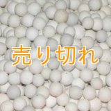 磁器セラミックボール　CW56　25Kg