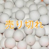 磁器セラミックボール　10ｍｍ/25Kg