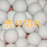 磁器セラミックボール　30ｍｍ/25Kg