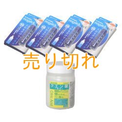 画像1: 水素水　マグスティック365　4本セット + クエン酸100g　[キャンペーンセット]