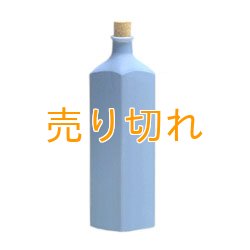 画像1: イオンボトル凛　空 【信楽焼】