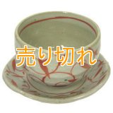 陶碗皿　赤絵唐草　[美濃焼]