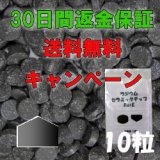 ラジウムセラミックチップRa+E  [10粒] -30日間返金保証&送料無料-