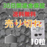 ラジウムセラミックチップRa+E  [10粒] -30日間返金保証&送料無料-
