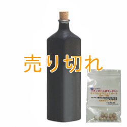 画像1: イオンボトル凛　黒 【信楽焼】+ラジウムセラミックボール