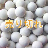 カルシウムセラミックボール　10mm球　500g