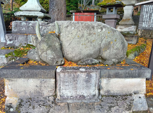 霊厳山圓藏寺　開運撫牛