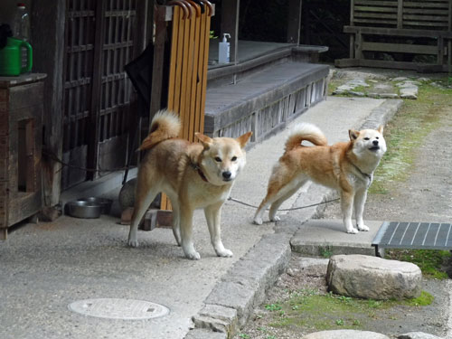 般若寺温泉の守護神