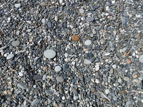 新潟県　糸魚川のひすい海岸の足元の石