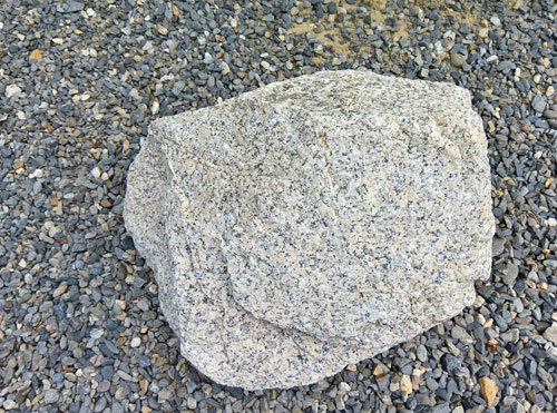 標本にしても良さそうな典型的な花崗岩