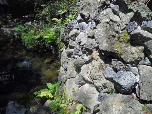 忍野八海に隣接する住宅の石垣