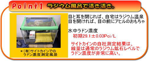 ラジウム風呂で活き活き。目と耳を閉じれば、自宅はラジウム温泉、目を開ければ、目の前にアヒルのおもちゃ。水中ラドン濃度初期29.1±0.03Pci/L、ラドン濃度150Bq(参考値：サイトカインでの自社測定)です。