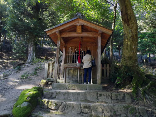 白髭神社　岩戸社