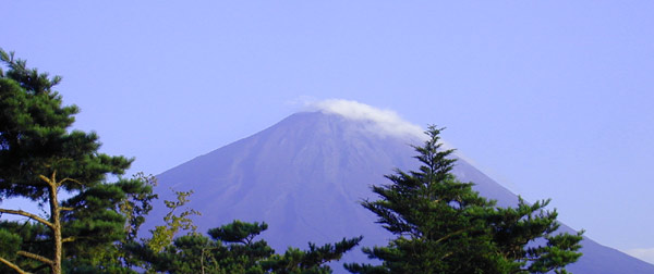 鳴沢から見た夏富士