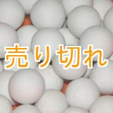 画像: 磁器セラミックボール　30ｍｍ/25Kg