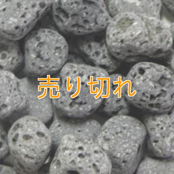 画像1: 溶岩マリモ　[山梨産]250g