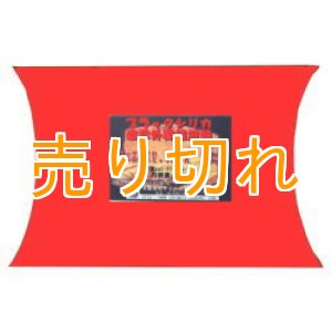 画像: ブラックシリカ遠赤外線温浴器　GP-R