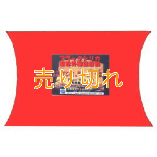 画像1: ブラックシリカ遠赤外線温浴器　GP-R