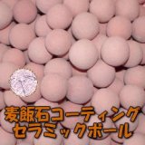 画像: 麦飯石コーティングセラミックボール 直径10mm/1000g