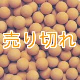 画像: 麦飯石セラミックボール 直径10mm/25Kg