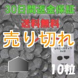 画像: ラジウムセラミックチップRa+E  [10粒] -30日間返金保証&送料無料-