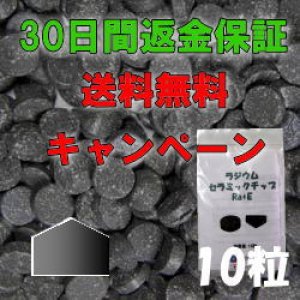 画像: ラジウムセラミックチップRa+E  [10粒] -30日間返金保証&送料無料-