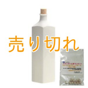 画像: イオンボトル凛　白 【信楽焼】+ラジウムセラミックボール