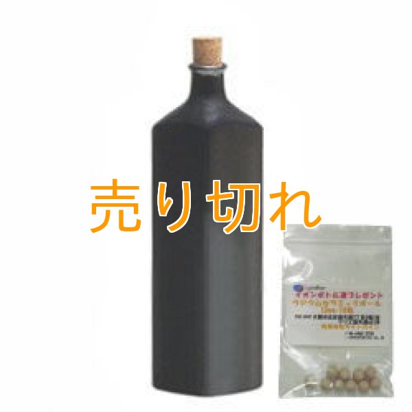 画像1: イオンボトル凛　黒 【信楽焼】+ラジウムセラミックボール