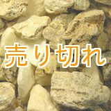 画像: 二股ラジウム鉱石[北海道　長万部産]1000g